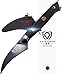 Dalstrong Tourne Peeling Paring Knife - 3 inch Bird's Beak - Shogun Series ELITE - Damascus - Japanese Super Steel - Vacuum Treated - Sheath Included