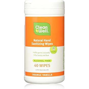 Amazon.com : CleanWell Botanical Hand Sanitizing Wipes