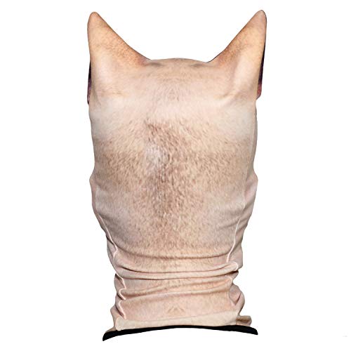 JIUSY 3D Animal Ears Fleece Thermal Hood Balaclava Neck Warmer Face Mask for Cold Weather Winter Outdoor Sport Motorcycle Cycling Riding Ski Snowboard Halloween Party French Bulldog MDD-26