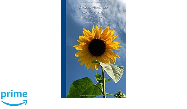 Wenn Eine Blume Nicht Blüht ändere Ihre Umgebung Und Nicht