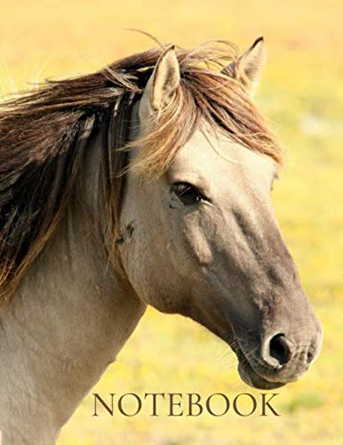NOTEBOOK: Horse design white college ruled lined paper 120 pages.