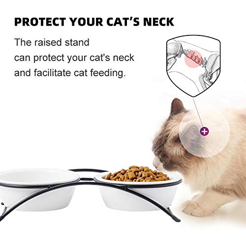 ZONEYILA Raised Pet Bowls for Cats and Small Dogs, Stainless Steel