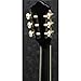 Ibanez AEG10NII Nylon String Acoustic-Electric Guitar (Black)