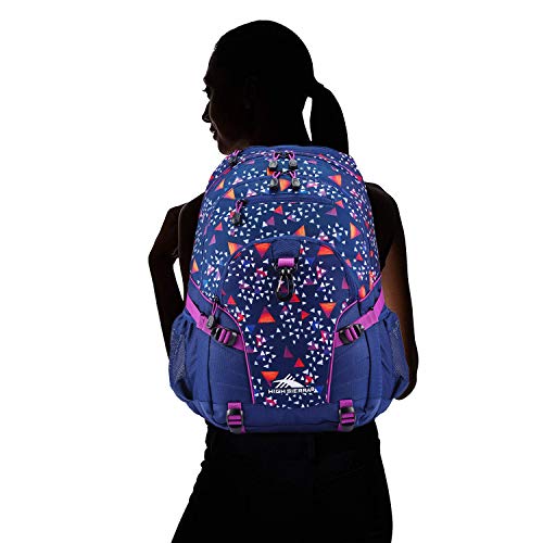 high sierra pineapple backpack