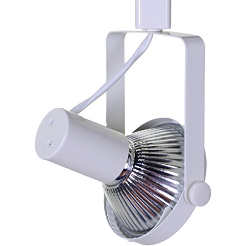 Direct-Lighting 50006 White PAR38 Gimble Ring Line Voltage Track Lighting Head