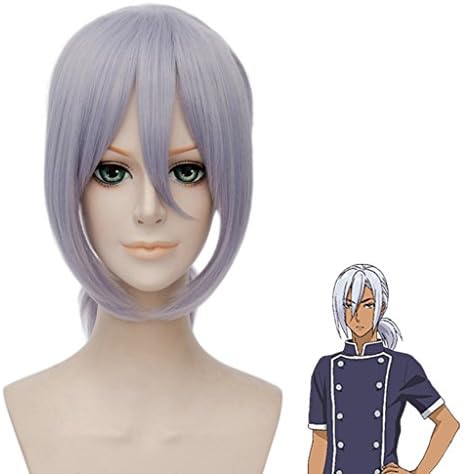 MSHUI Shokugeki no Soma Hayama Akira Cosplay Wig Long Straight Gray Purple Hair