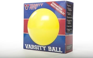 varsity ball dog toy