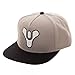 Destiny Video Game Sonic Weld Mens Logo Snapback Hat