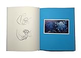 Image de Walt Disney's Little Mermaid (The Sketchbook)