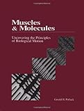 Muscles and Molecules: Uncovering the Principles of Biological Motion