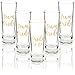 Party Favors Shot Glasses - Bachelorette Shot Glasses with Bride to Be and Team Bride Prints- Set of 5, 2 oz Each