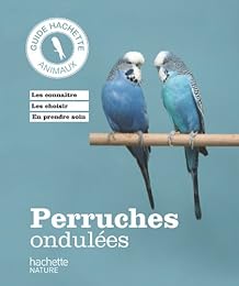 Perruches ondulées