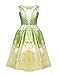 iiniim Little Girls Princess Dress up Cosplay Fairy Tale Fancy Costumes Halloween Party Gowns Light Green&Yellow 5-6