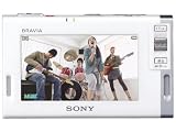 FMステレオ/AMラジオ対応 ワンセグTV BRAVIA (ホワイト) [XDV-D500(W)]