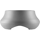 Amazon.com: Polk Audio Atrium SAT 300 