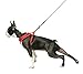 Gooby - Freedom Harness II, Choke Free Mesh Harness for Small Dogs with Microsuede Straps, Red, Medium