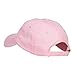 NASA Insignia Embroidered Pigment Dyed Cap - Pink OSFM