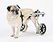 K9 Carts Dog Wheelchair (Small) - Made in The USA