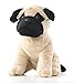 PREXTEX Plush Puppy Dogs - Set of 3 Realistic Looking 8-Inch Cute and Cozy Stuffed Animals