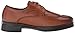 Deer Stags Boys' Brilliant Oxford, Luggage, 7 M US Big Kid