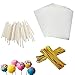 Cake Pop Treat Bag Set, 100 PCS White Lollipop Treat Sticks, 100 Pieces Lollipop Parcel Bags, 100 PCS Metallic Twist Ties, Candy Making Sucker Sticks 6 Inch for Candy,Cake Pop
