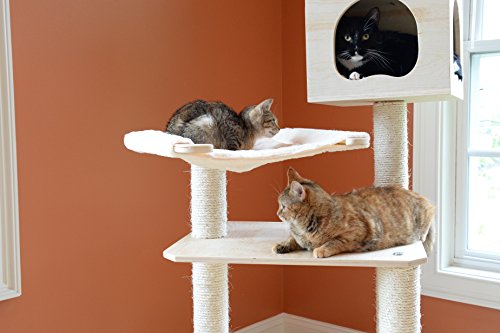 Premium 50" Cat Tree