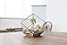 Modern Clear Glass Geometric Terrarium Succulent Plant Display Box, Decorative Votive Candle Holder