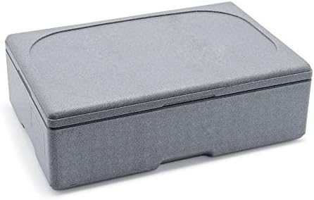 WAS 3740100 1/1-100 - Caja térmica para alimentos (EPS), color gris: Amazon.es