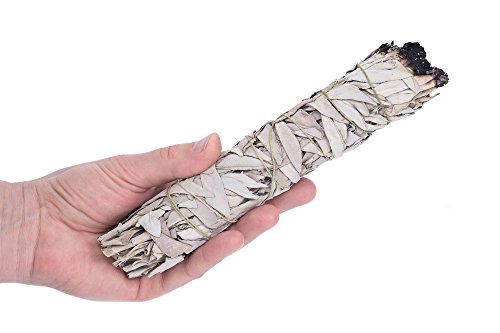 Extra Large California White Sage, Approximately 8.5 Inches Long and 2 Inches Wide for Smudging Rituals, Energy Clearing, Protection, Incense, Meditation, Made in USA