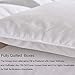 Zingsleep Goose Down Alternative Comforter （Queen 90 x 90 Inch）,Ultra Soft Brushed Microfiber， Quilt with Corner Tab for All Season Hypoallergenic Plush Mircofiber Comforter Duvet Insert