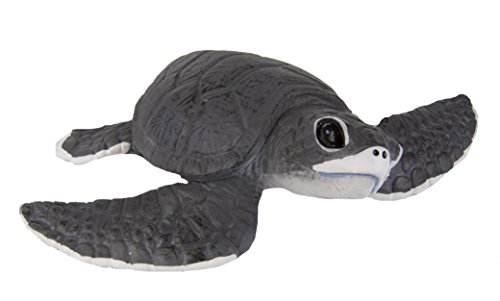 Safari Ltd Incredible Creatures Sea Turtle Baby