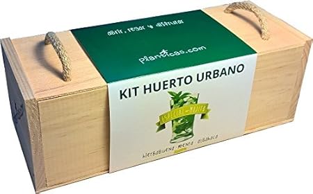 Kit de Huerto Urbano: Edición Especial Mojito: Amazon.es: Jardín