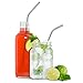 Elephix Stainless Steel Reusable Eco Friendly Drinking Straws, 8pc Set - (2) 10