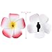 FRCOLOR 12 Pieces 3.5 Inch Hawaiian Plumeria Flower Hair Clips Foam Women Ladies Hair Accessories for Beach Party Wedding Event Decoration