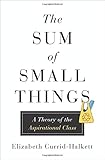 The Sum of Small Things: A Theory of the Aspirational Class