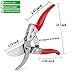 BIGLUFU 8″ Flower Clippers Scissors Limb Trimmer Pruning Shears Blade Trimmers Garden Professional Gardening Shear Cutters, SK-5 Steel Anvil Scissor, High Carbon Steel Hand, Plant Secateurs, Backyardthumb 2
