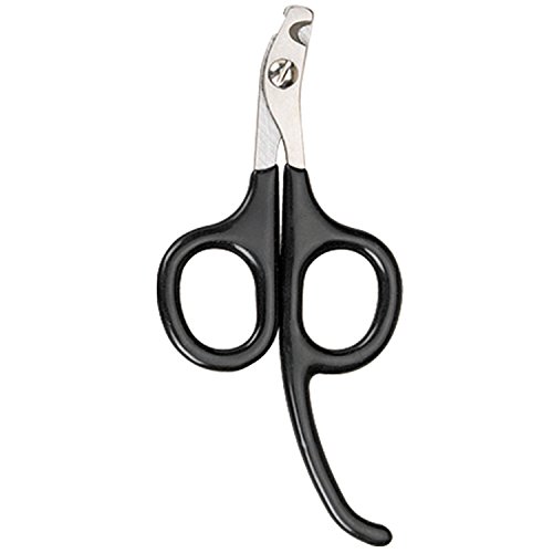 Master Grooming Tools Pet Nail Scissors with Finger Rests-Stainless Steel Scissors for Trimming Nails on Cats and Birds - Small, 3½" - Thumbnail 4