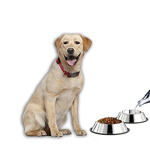 Mlife Stainless Steel Dog Bowl with Rubber Base for Small/Medium/Large