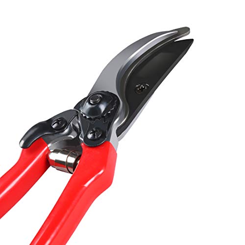 Terme 8" Small Professional Pruning Shears for Garden, Heavy Duty Tree Trimmers Sharp Bypass Hand Pruners with Stainless Steel Blades and Ergonomic Handle Fruit Trimming Tool