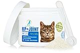 Ace Pet Health Joint Support Powder 6oz - Glucosamine Chondroitin for Cats with MSM - Arthritis Pain Relief for Cats with Kona Berry and Turmeric - Anti inflammatory for Cats