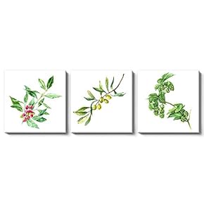 Canvas Wall Art Plants and Fruits Painting Artwork for Home Prints Framed - 12"x12"x3 Panels