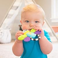 sassy flutterby teether