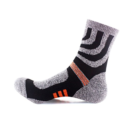 Men's Crew Socks Cushion Hiking Running Sport Socks (3 Pairs)