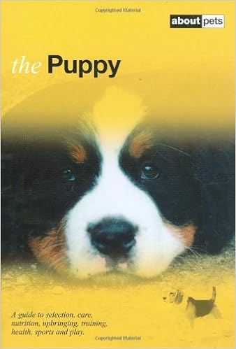 Httppdfmake Tsgqfilesrecherche De Livre C3 - 