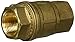 WaterCop Water Shut-Off Valve, 1 In. (WCVLF 1)