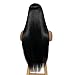 ALICE Lace Front Black Wig for Women, 22