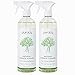 Puracy Natural All Purpose Cleaner, Streak-Free Household Multi-Surface Spray, Green Tea & Lime, 25 Ounce (2-Pack) primary