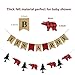 Lumberjack Baby Shower Banner, Lumberjack Theme Banner and It's a Boy Banner Garland Party Supplies for Baby Shower & Kid Birthday Party Decoration