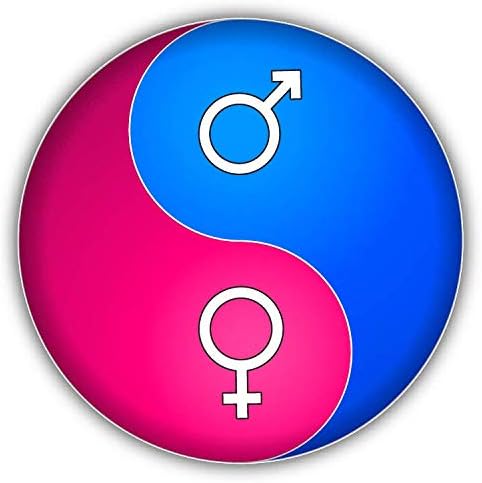 Amazon Com Yin Yang Male Female Symbol Window Truck Car Bumper Sticker Decal 5 X 5 Home Kitchen