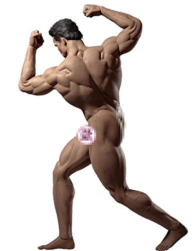 Phicen HiPlay 12" Male Seamless Action Figures-Realistic Silicone Body with Male Genitals -1/6 Scale Super Flexible Male Figure Dolls for Arts/Drawings/Photography (M35)